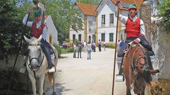 Quinta do Gaio de Baixo - Soc. Turismo no espaço Rural, Lda