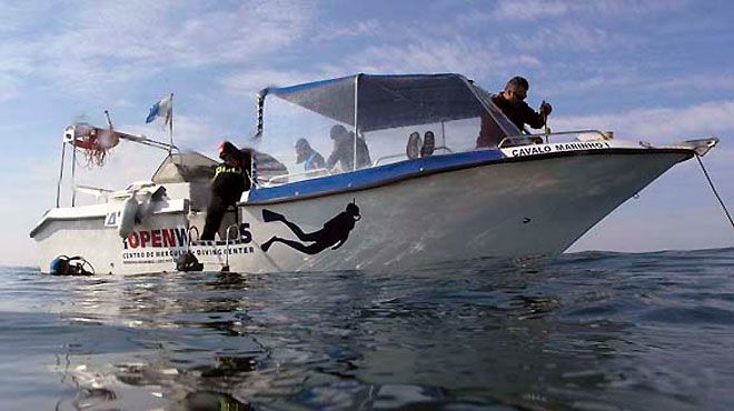 Open Waters Open Waters