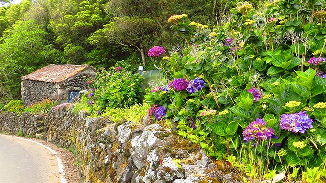 Delegação de Turismo - Terceira
Место: Açores
Фотография: Floreesha - Turismo dos Açores