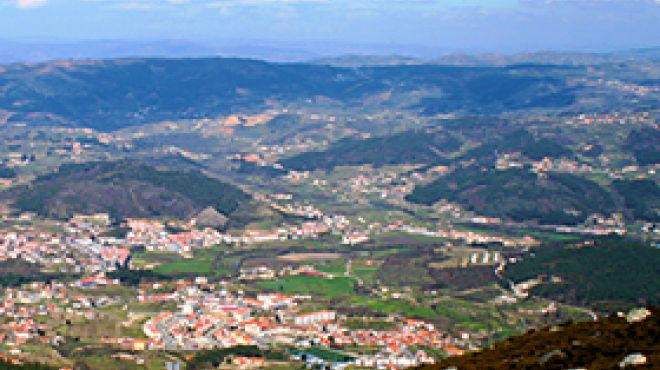 Tarouca Tarouca