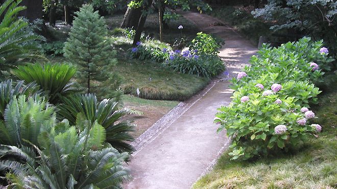 Jardim Botânico da Ajuda