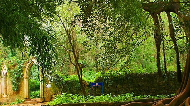Jardins da Quinta das Lágrimas Jardins da Quinta das Lágrimas