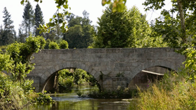 Ponte de Vilela