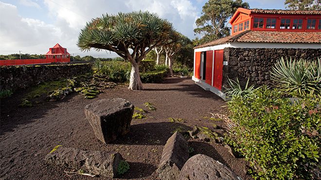 Museu do Vinho - Pico
Place: Pico
Photo: Carlos Duarte -Turismo dos Açores