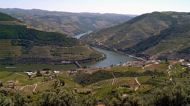 Cinco olhares sobre o Douro
Фотография: Câmara Municipal de Alijó