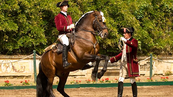 Escola Portuguesa de Arte Equestre