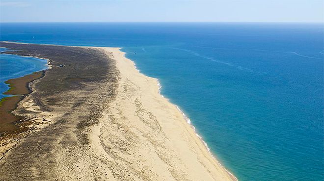 Praia da Ilha da Barreta / Ilha Deserta
Foto: Turismo do Algarve