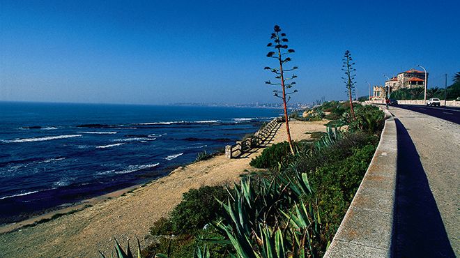 Praia das Avencas | www.visitportugal.com