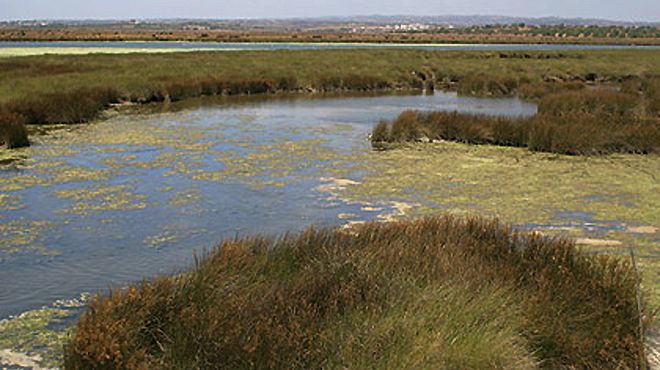 Reserva Natural do Sapal de Castro Marim e Vila Real de Santo António Reserva Natural do Sapal de Castro Marim e Vila Real de Santo António