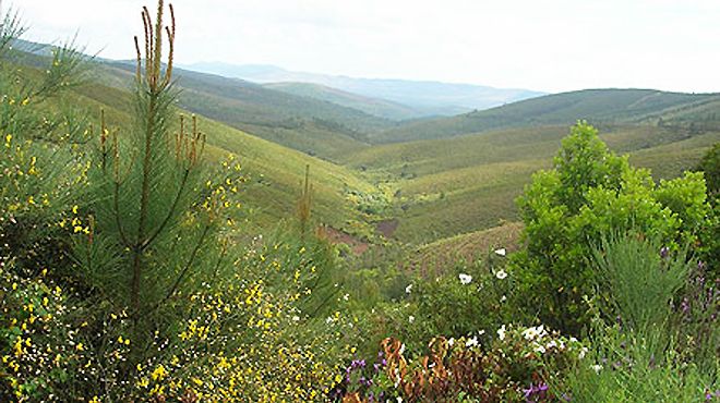 Reserva Natural da Serra da Malcata