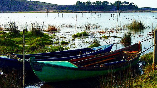 Reserva Natural das Lagoas de Santo André e da Sancha