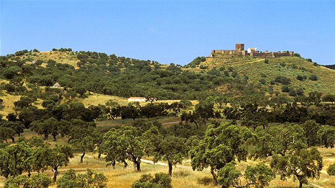 Parque de Natureza de Noudar
写真: J.Romão