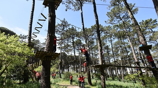 Parque Aventura Figueira Da Foz Www Visitportugal Com