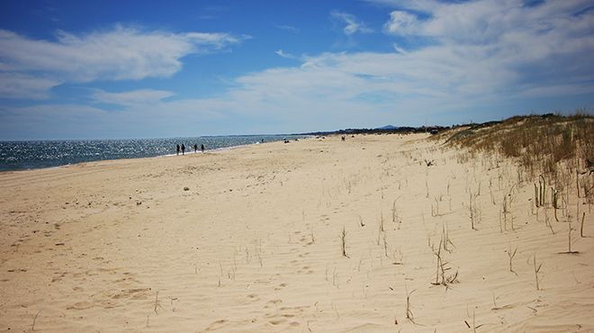 Praia da Alagoa
Local: Altura - Castro Marim
Foto: Turismo de Portugal