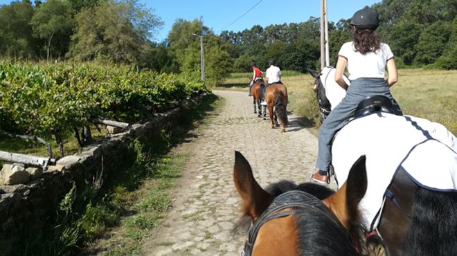 Quinta de Chelo
Фотография: Quinta de Chelo