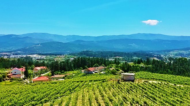 Quinta de Santa Cristina
Место: Celorico de Basto
Фотография: Quinta de Santa Cristina