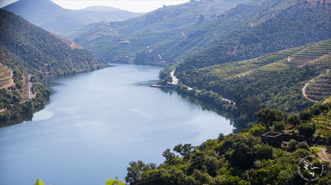 Quinta do Pôpa
Фотография: Quinta do Pôpa