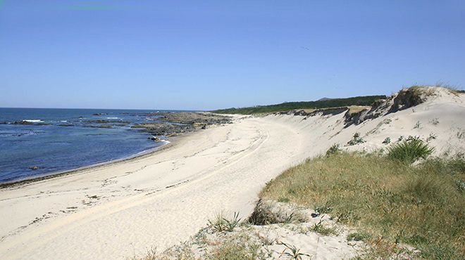 Praia Do Castelo : Praia De Carreco Viana Do Castelo Portugal