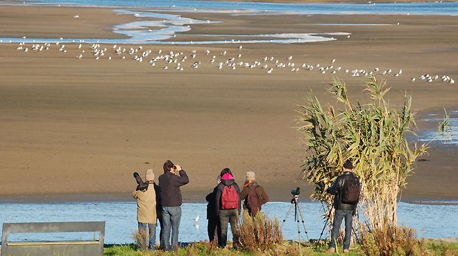 SPEA - Sociedade Portuguesa para o Estudo das Aves
Lugar Lisboa
Foto: SPEA - Sociedade Portuguesa para o Estudo das Aves