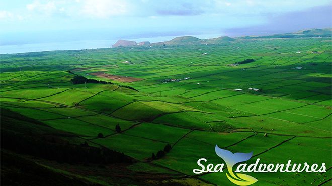 Sea Adventures
Lieu: Angra do Heroismo
Photo: Sea Adventures Sea Adventures
Lieu: Angra do Heroismo
Photo: Sea Adventures