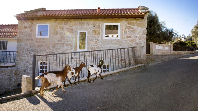 Casas de Selim - Tio Ze Exterior