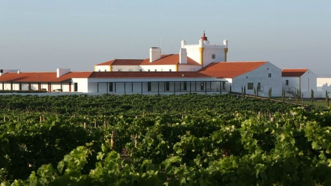 Torre de Palma, Wine Hotel Rural