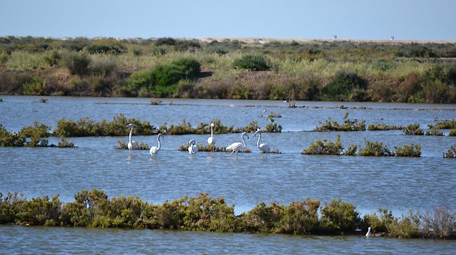 Tavira Walking Tours
Lugar Tavira
Foto: Tavira Walking Tours