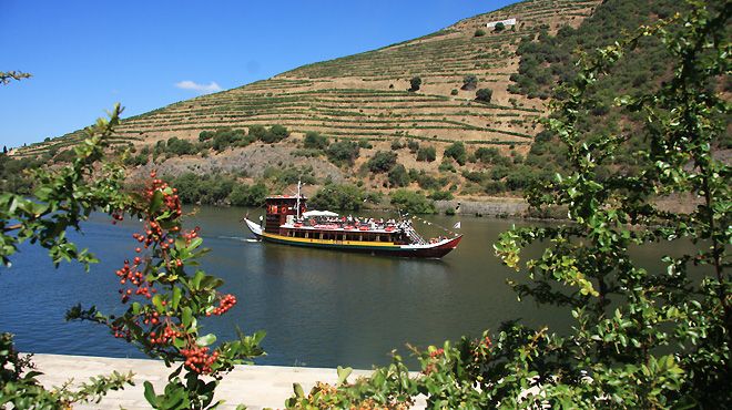 Tomaz do Douro
場所: Porto
写真: Tomaz do Douro