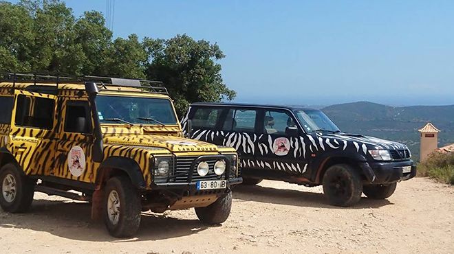 Zebra Safari Tours
Local: Albufeira
Foto: Zebra Safari Tours Zebra Safari Tours
Local: Albufeira
Foto: Zebra Safari Tours
