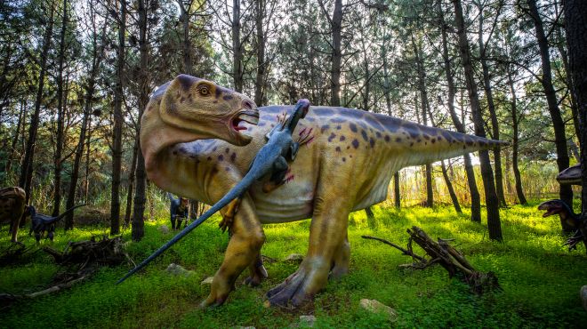 Dino Parque Dino Parque