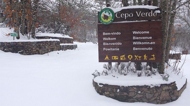 Cepo Verde
Photo: Cepo Verde Cepo Verde
Photo: Cepo Verde