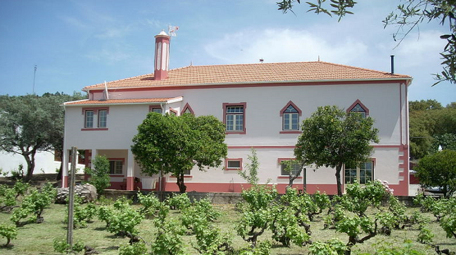 Quinta da Vila Maria
Place: Reguengo
Photo: Quinta da Vila Maria Quinta da Vila Maria
Place: Reguengo
Photo: Quinta da Vila Maria