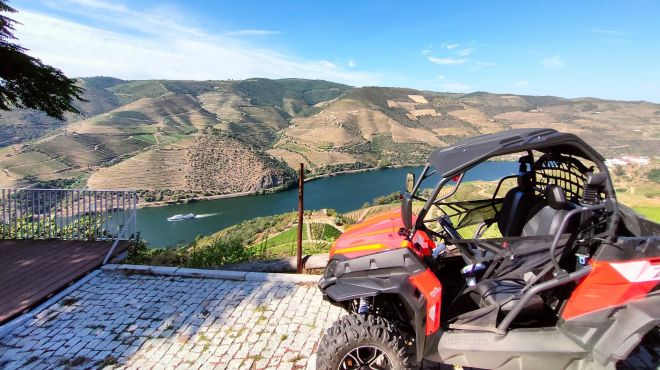 DOURO BUGGY FOX