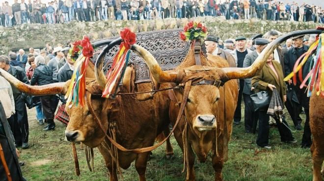 Feira dos Santos – Chaves
Luogo: acisat
Photo: DR