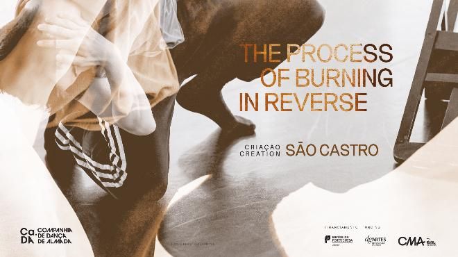 The process of burning in reverse
Ort: Companhia de Dança de Almada
Foto: DR