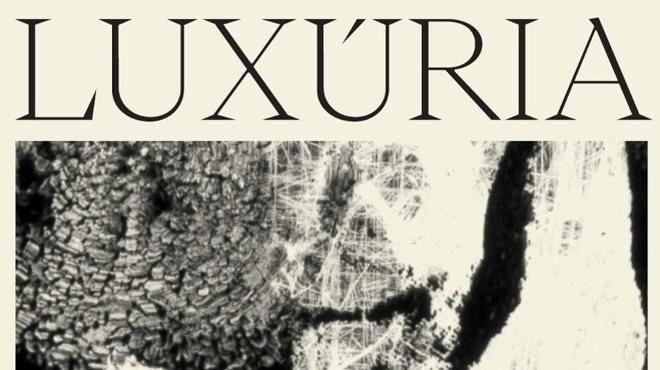 Luxúria, Pedro Bastos
場所: PR
写真: DR