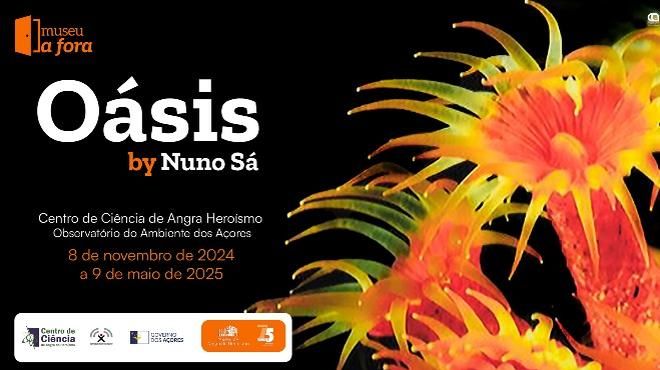 Oásis by Nuno Sá
場所: Centro de Ciência de Angra do Heroísmo
写真: DR