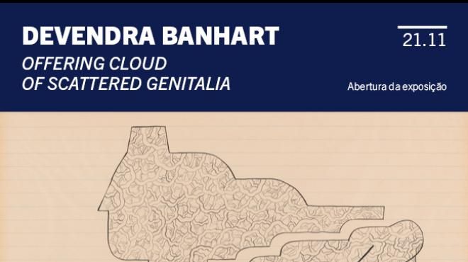 Devendra Banhart: Offering Cloud of Scattered Genitalia
Lieu: PR
Photo: DR