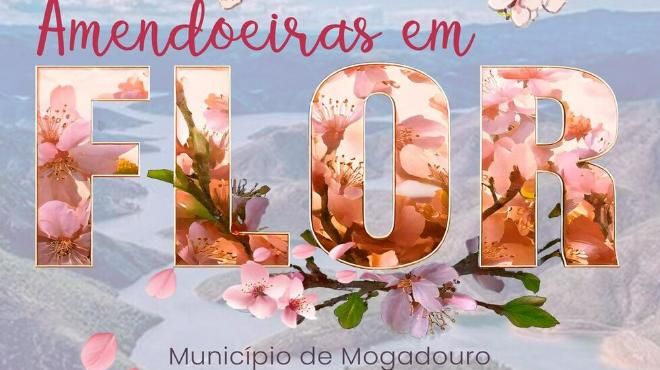 Festa das Amendoeiras em Flor de Mogadouro/ Feira Franca dos Produtos da Terra e do Artesanato
Ort: Câmara Municipal de Mogadouro
Foto: DR