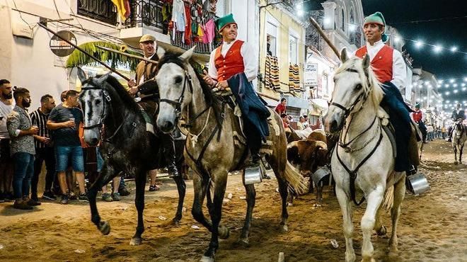 Feira de Maio de Azambuja
場所: CM Azambuja
写真: DR