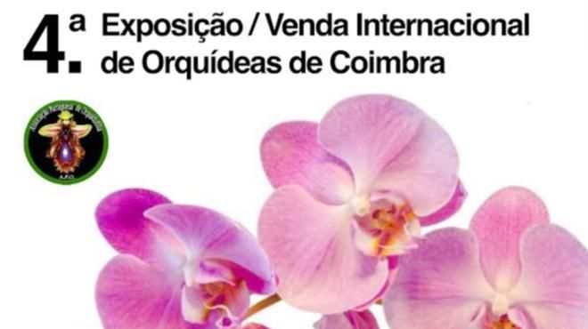 Exposição/venda de orquídeas em Coimbra
Place: PR
Photo: DR Exposição/venda de orquídeas em Coimbra
Place: PR
Photo: DR