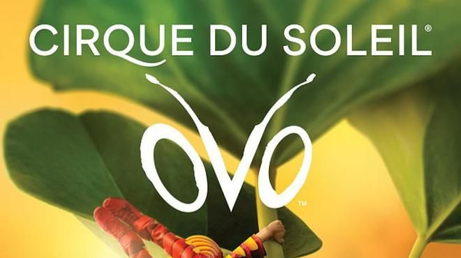 Cirque du Soleil – OVO
Lieu: Ticketline
Photo: DR Cirque du Soleil – OVO
Lieu: Ticketline
Photo: DR