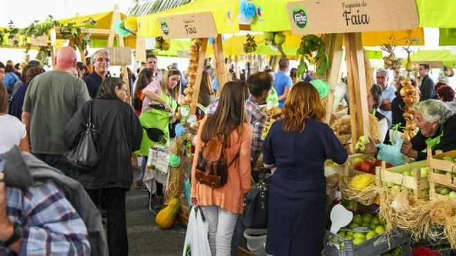 Feira Farta
Ort: CM Guarda
Foto: DR Feira Farta
Ort: CM Guarda
Foto: DR