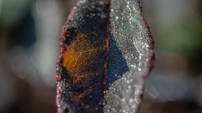 Um Ano no Parque – Jorge Sarmento
Place: Jorge Sarmento
Photo: DR