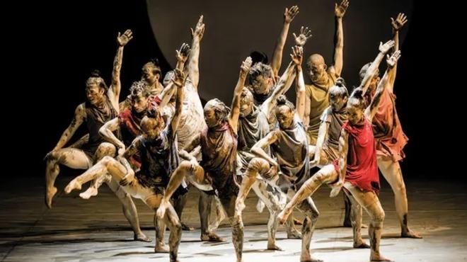 Sagração da Primavera
地方: Ticketline
照片: DR