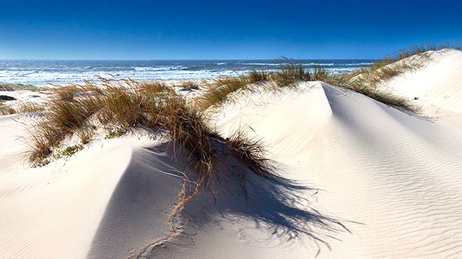 Praia de São Jacinto
Lugar Aveiro
Foto: Shutterstock_AlexMorozov Praia de São Jacinto
Lugar Aveiro
Foto: Shutterstock_AlexMorozov