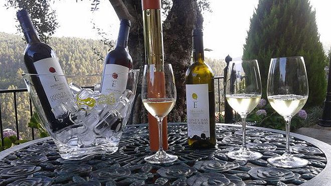 Quinta das Escomoeiras Quinta das Escomoeiras