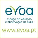 EVOA - Espaço de Visitação e Observação de Aves (Gebiet für Besuche und Vogelbeobachtung)