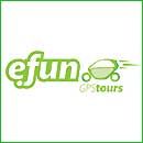 Efungpstours - Porto Twizy Tours