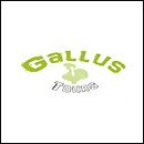 Gallus Tours - Alsicelos Unipessoal Lda.